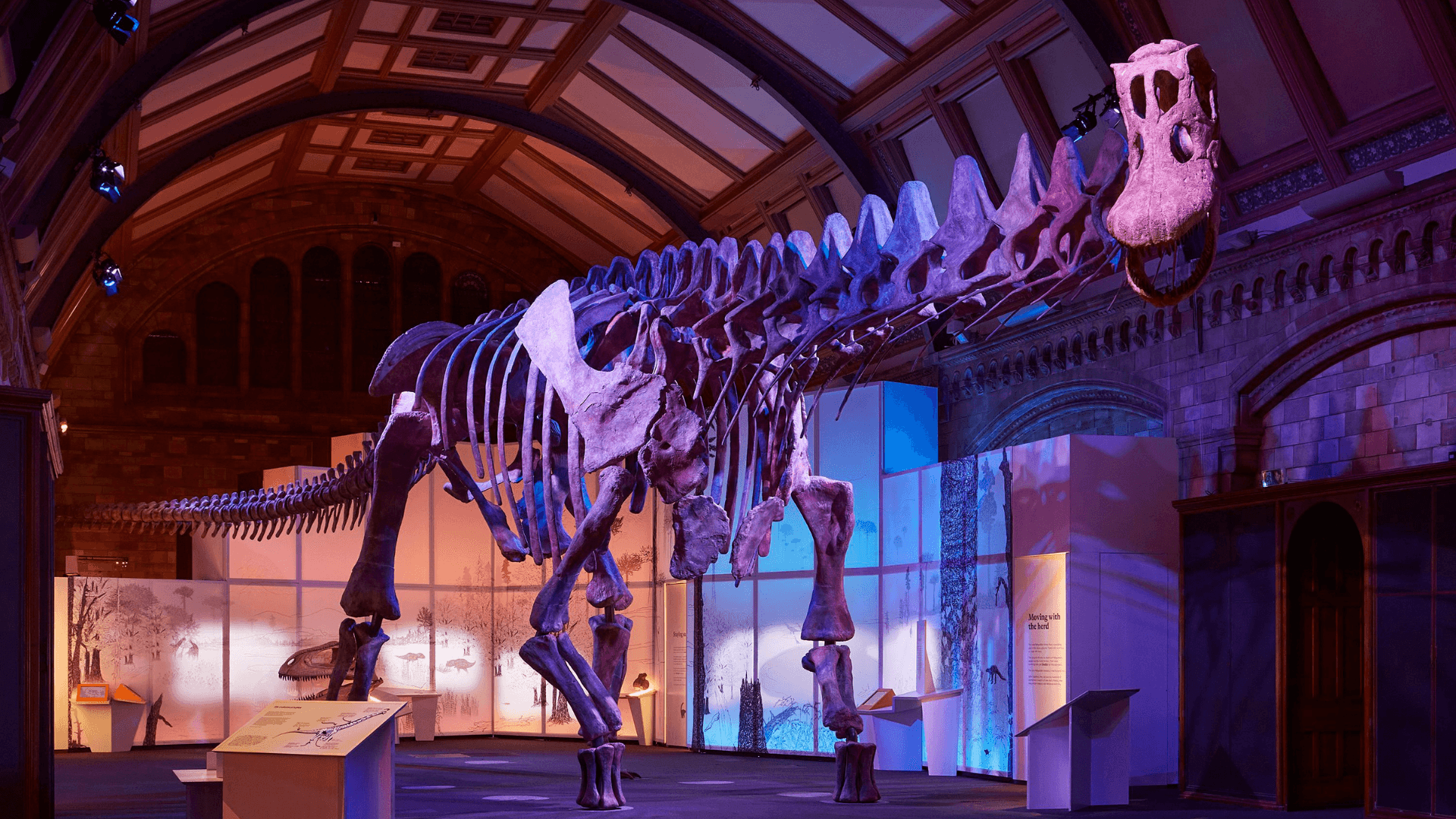 London Natural History Museum Family Dinosaur Discovery Tour - Titanosaurus skeleton on display