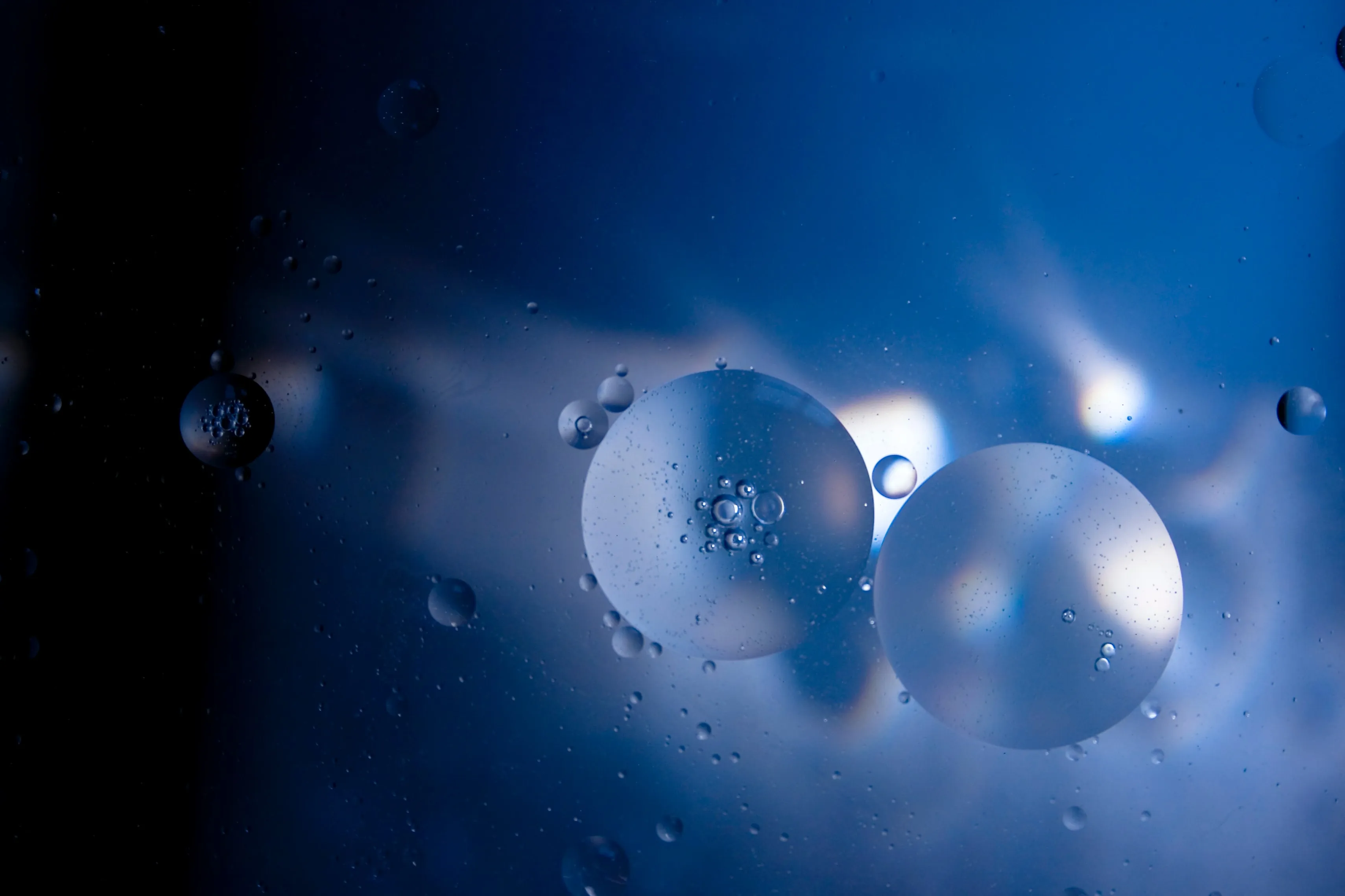 How to Raise NAD+ Levels Naturally: 7 Evidence-Based Methods - evidence-based guide