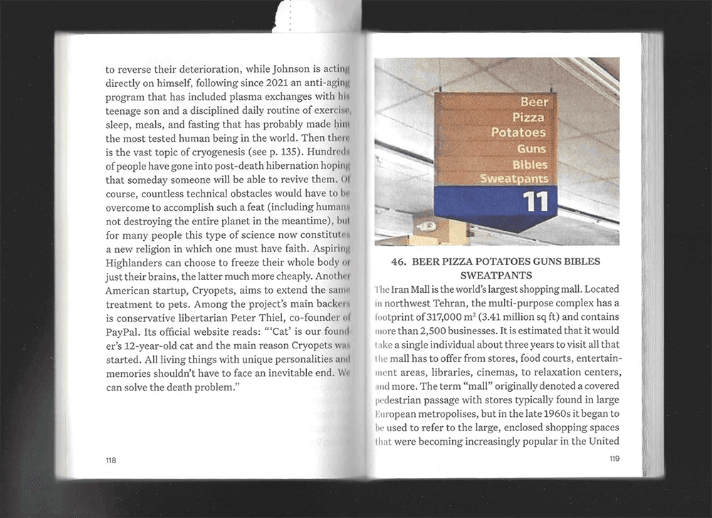 A green butterfly rests on a flower.