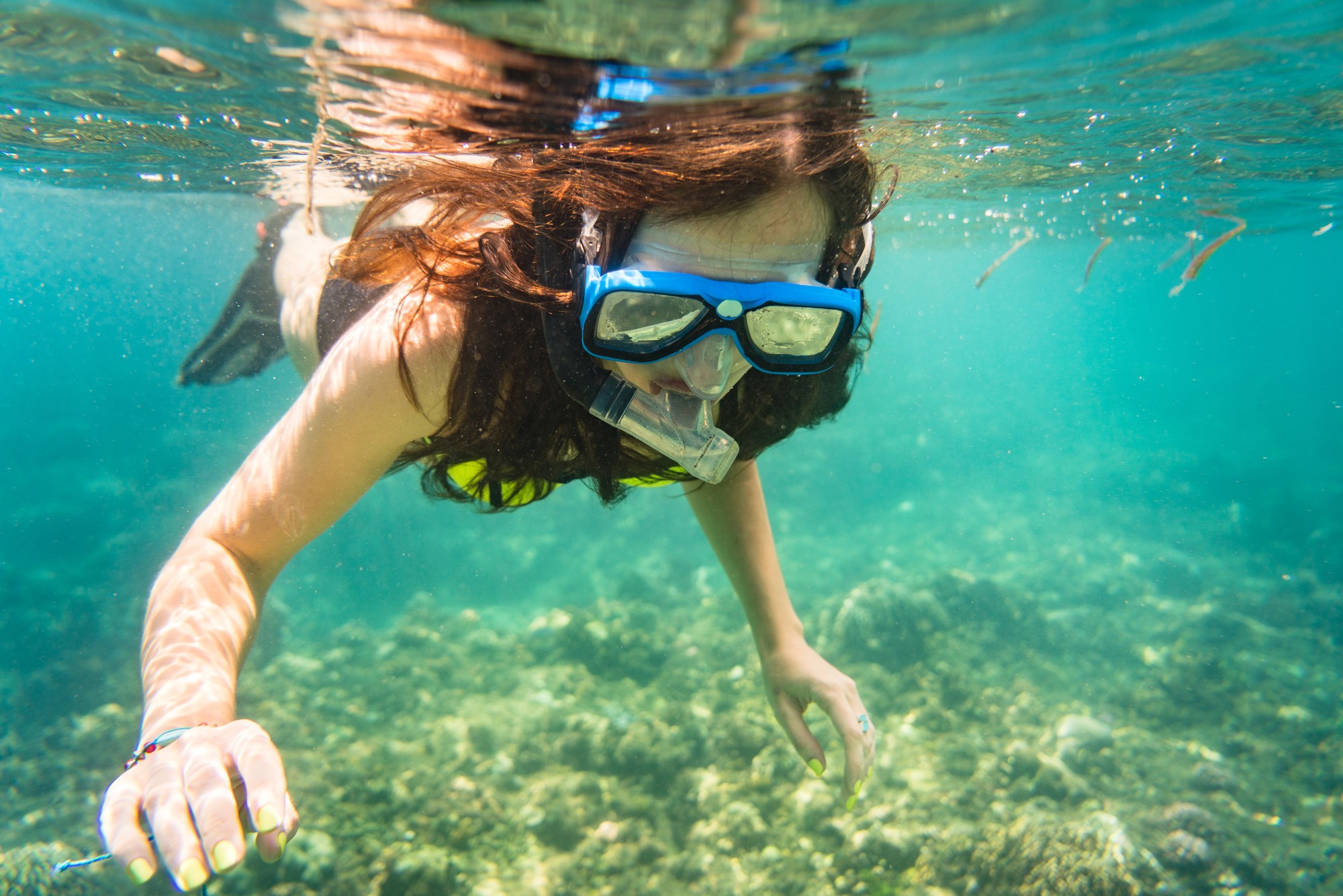 byron bay snorkelling and diving tours