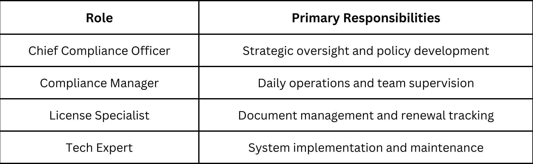 Compliance Team Sturcture