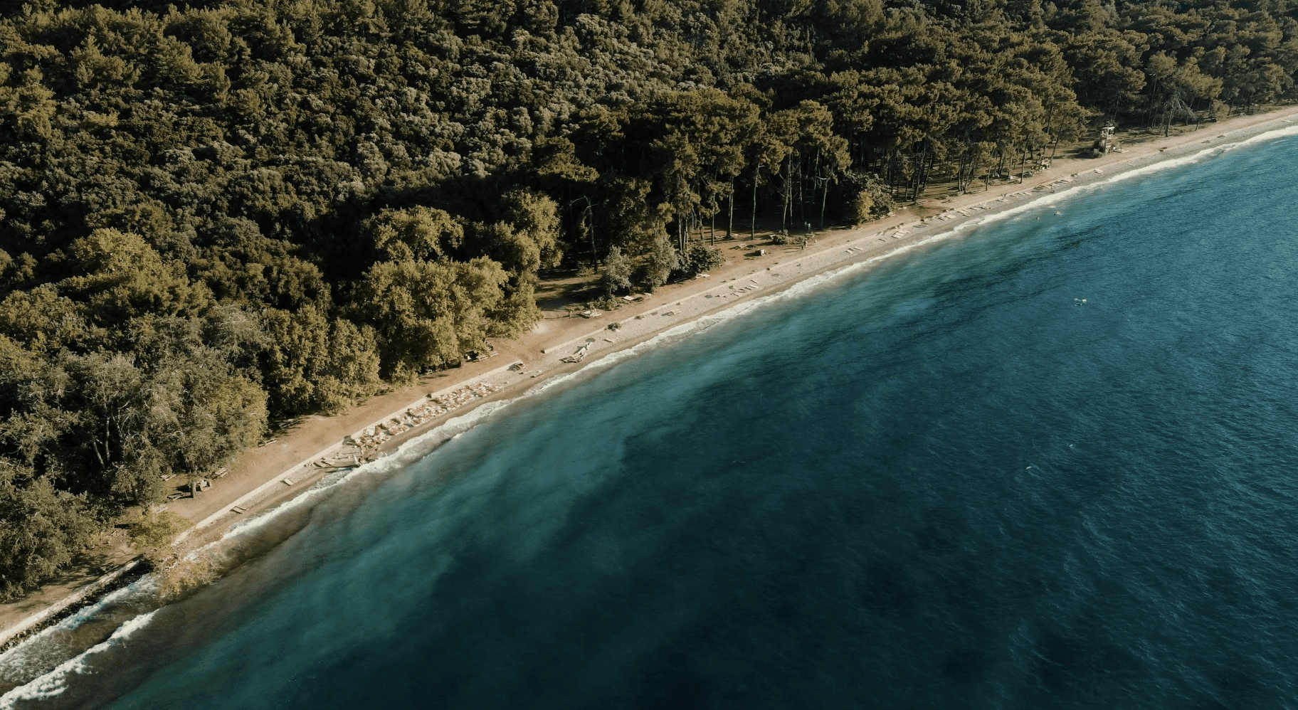 Men's Clothing for Stores