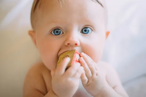 Baby, das ein Spielzeug zum Mund führt