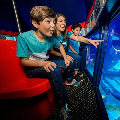 Three people excitedly observe marine life through an aquarium window, with one pointing while sitting on red seats.