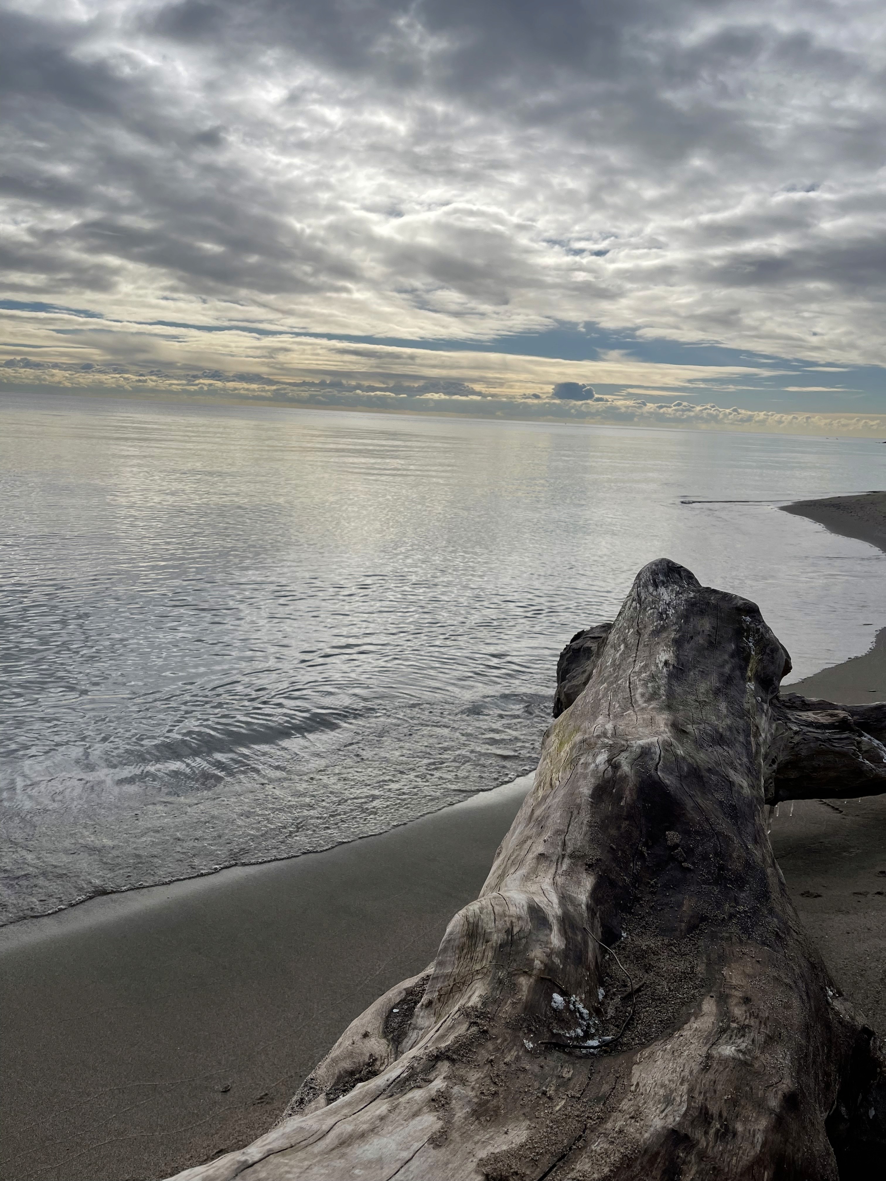 a building with persony windows