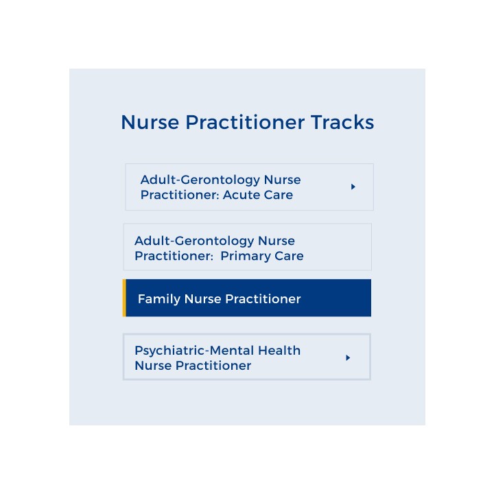 Chart titled "Nurse Practitioner Tracks" with options: Adult-Gerontology Acute Care, Adult-Gerontology Primary Care, Psychiatric-Mental Health, and highlighted Family Nurse Practitioner.