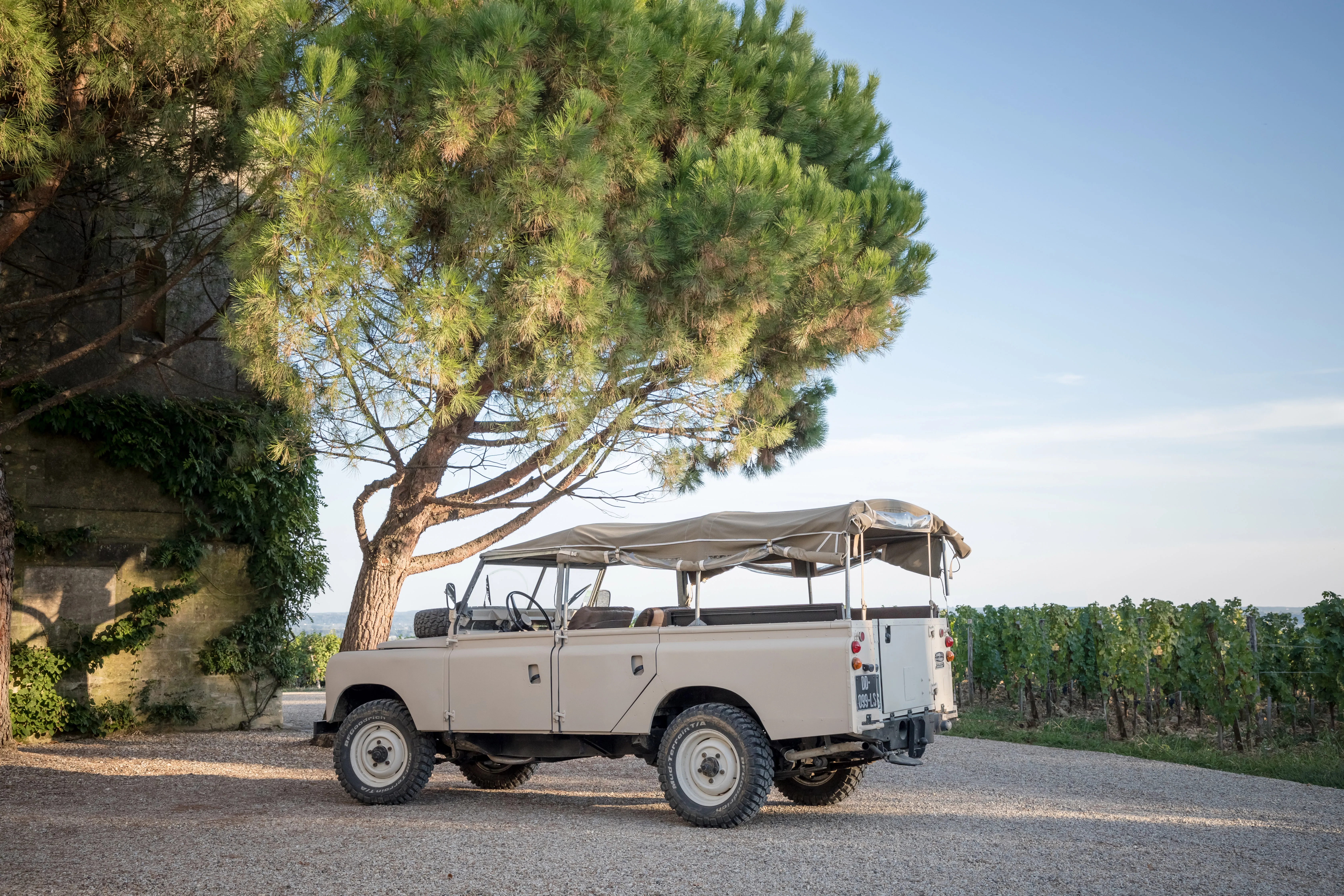 visit vineyard saint emilion