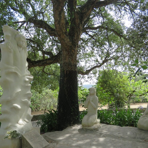 رحلة نصف يوم إلى ملاذ فاطمة من لشبونة مع تذاكر دليل صوتي في فاطمة