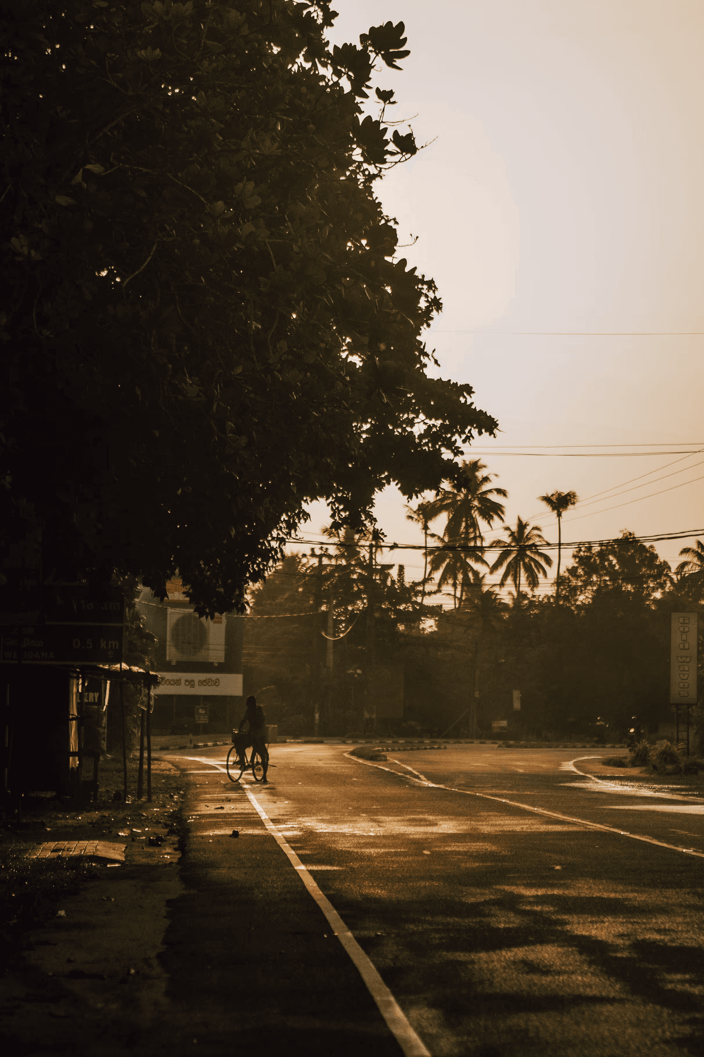 Cyclist by a roadside in the tropics.