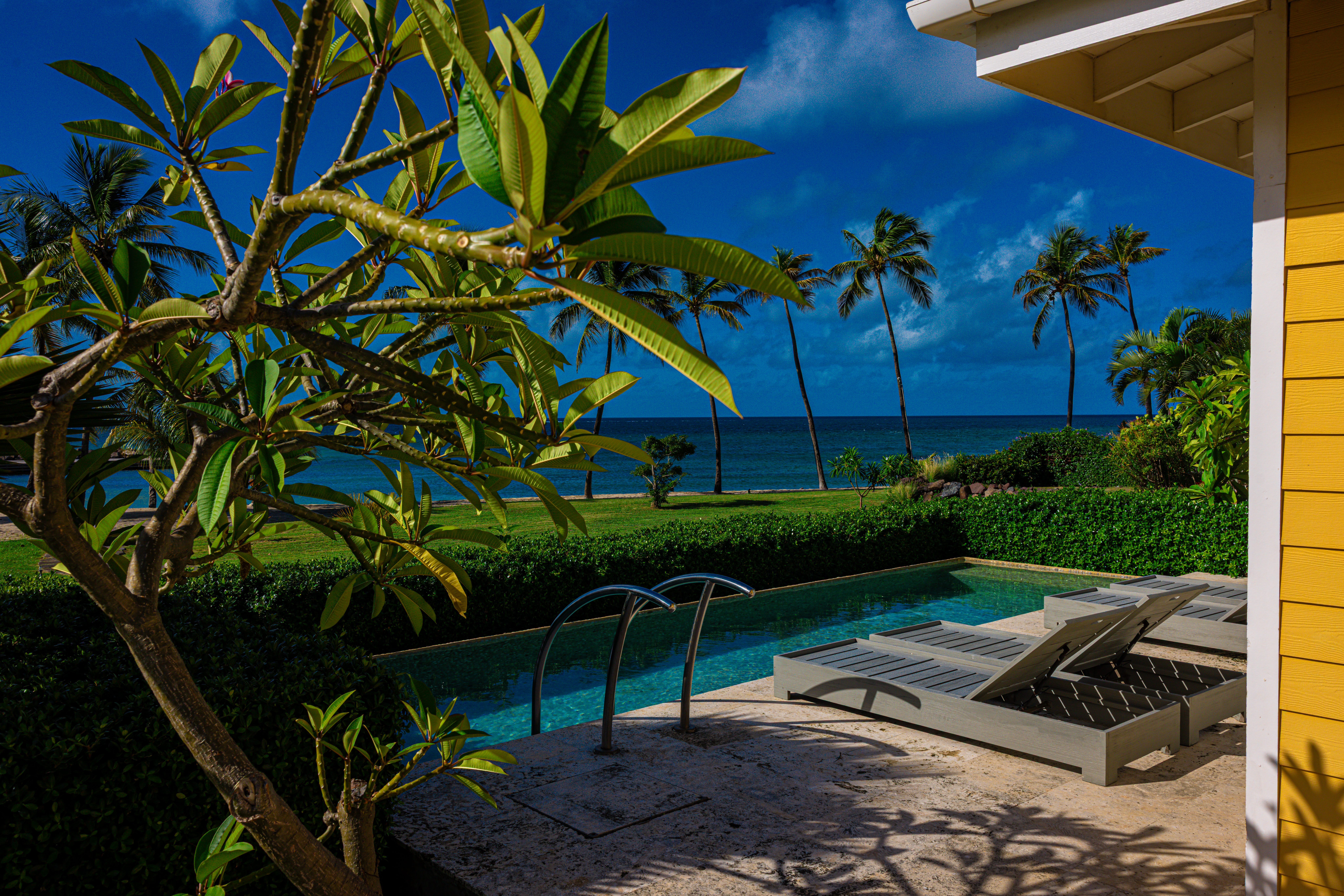 Oceanfront pool surrounded by tropical greenery and palm trees with the sea in the background