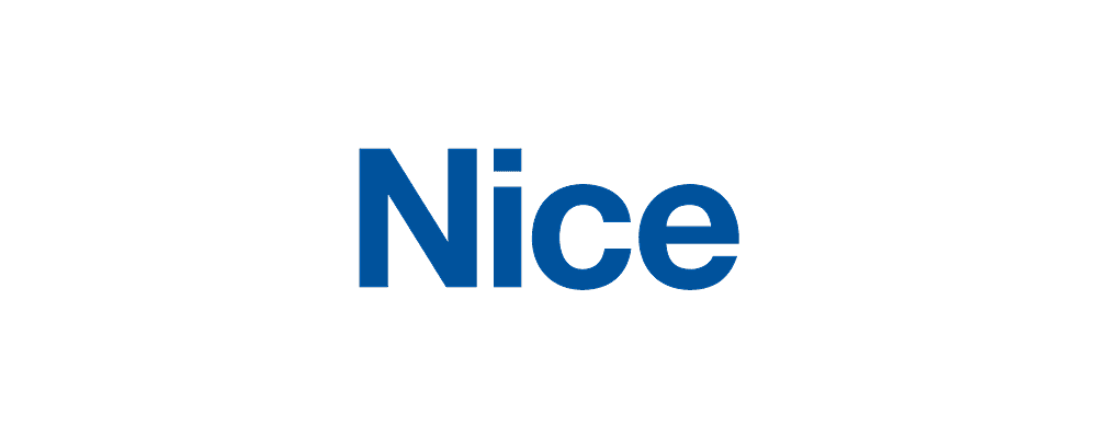 Nice logo