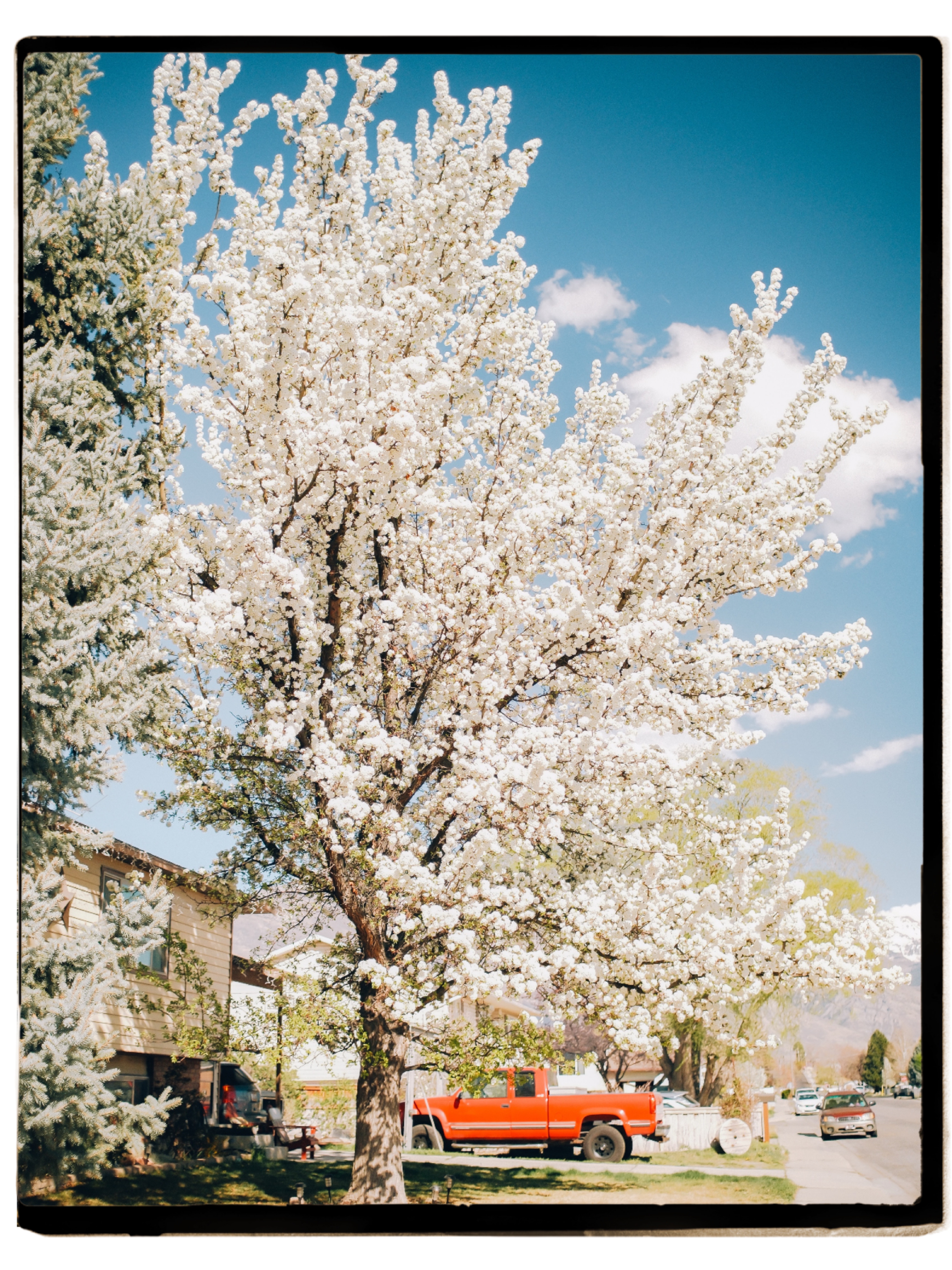 Spring