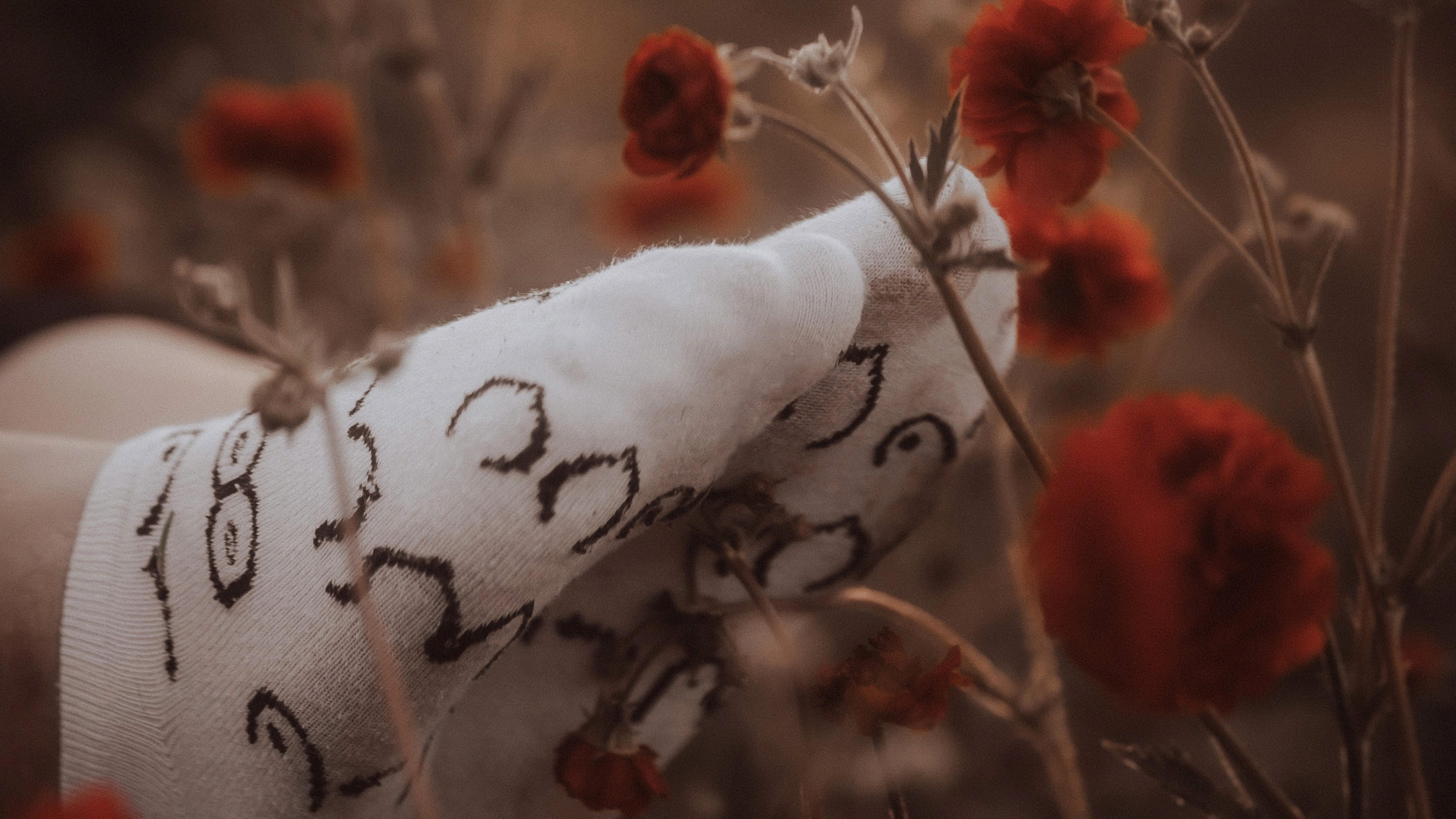 Hebamme Jill in Worms - Meine Leistungen