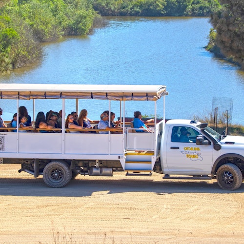 一群人坐在一辆露天观光卡车上，周围是一片水体和绿地，天上阳光明媚。