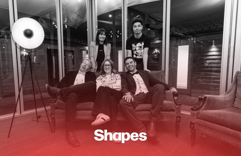 Shapes Accounting - Vinyl case study