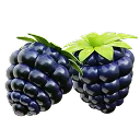 3D Blackberry Fruit Icon
