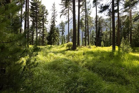 photo from unsplash as placeholder
