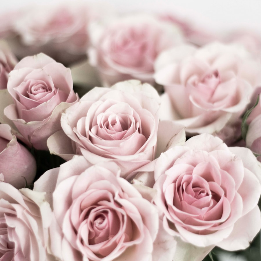 3A hand-tied bouquet of blush pink garden roses wrapped in kraft paper