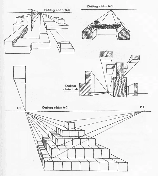 Hình họa bổ trợ gì cho dân kiến trúc?