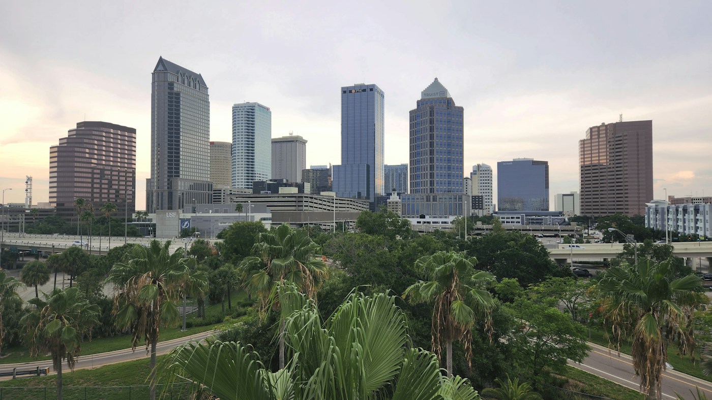 Tampa skyline with palm trees