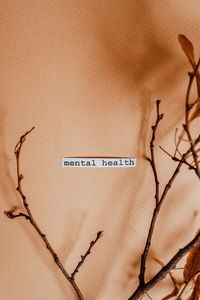 A minimalist image featuring the words "mental health" typed on a beige background, with dried branches and leaves creating a natural, serene atmosphere.