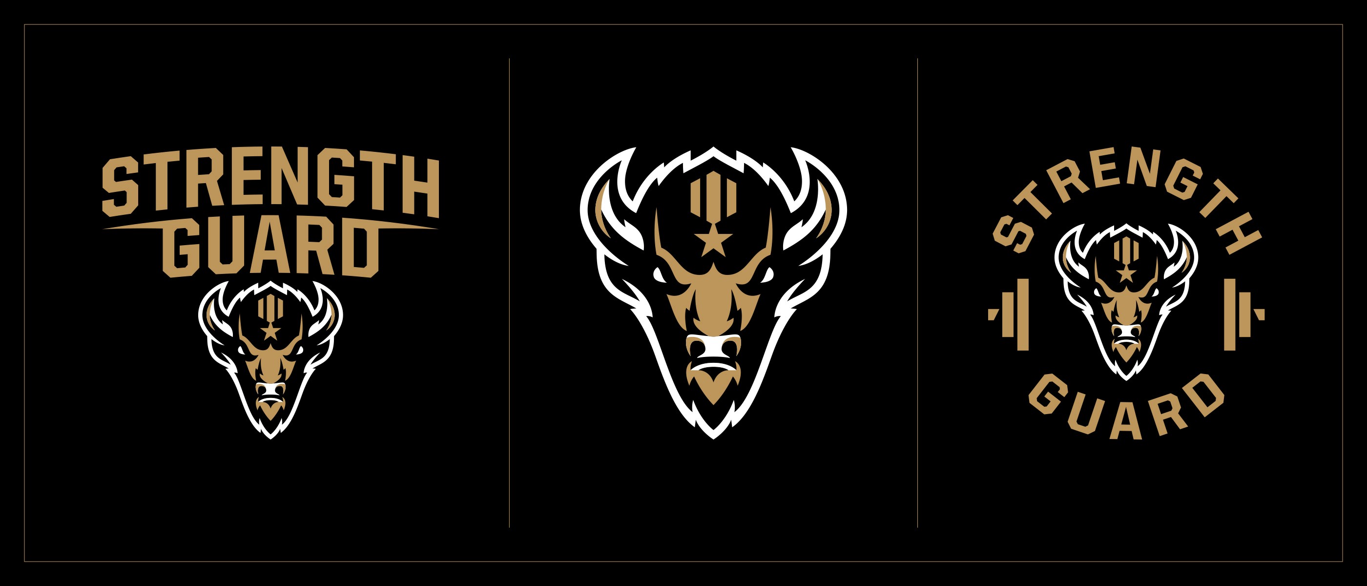 Strength Guard logo system on black background.