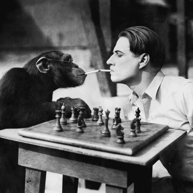 Cover singlu Gambit od Lil Buca Near