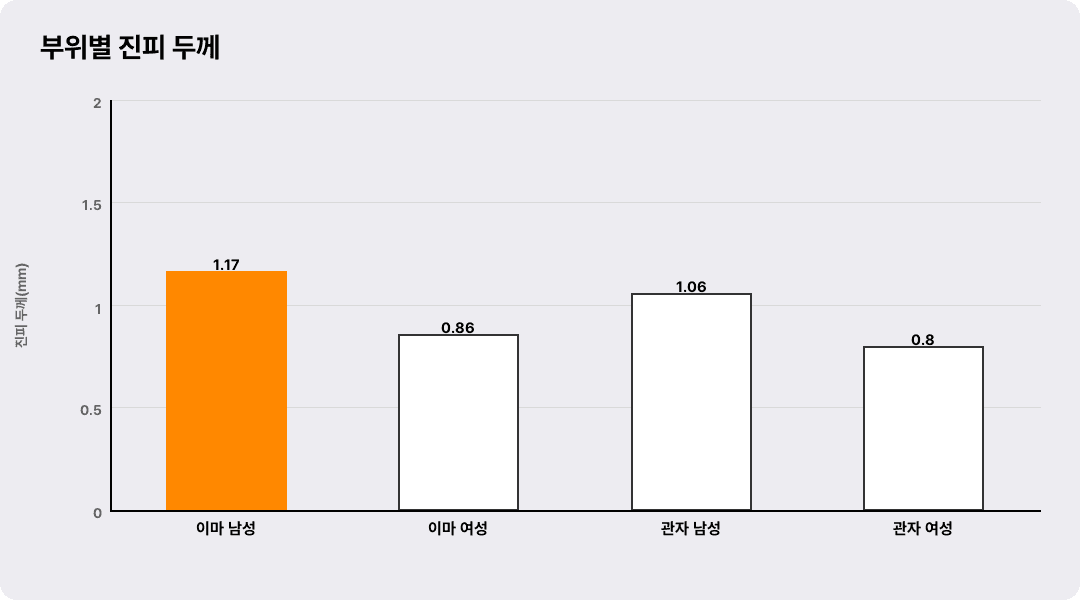 부위별 진피 두께