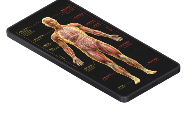 Mobile Preview of the FlowCRM app