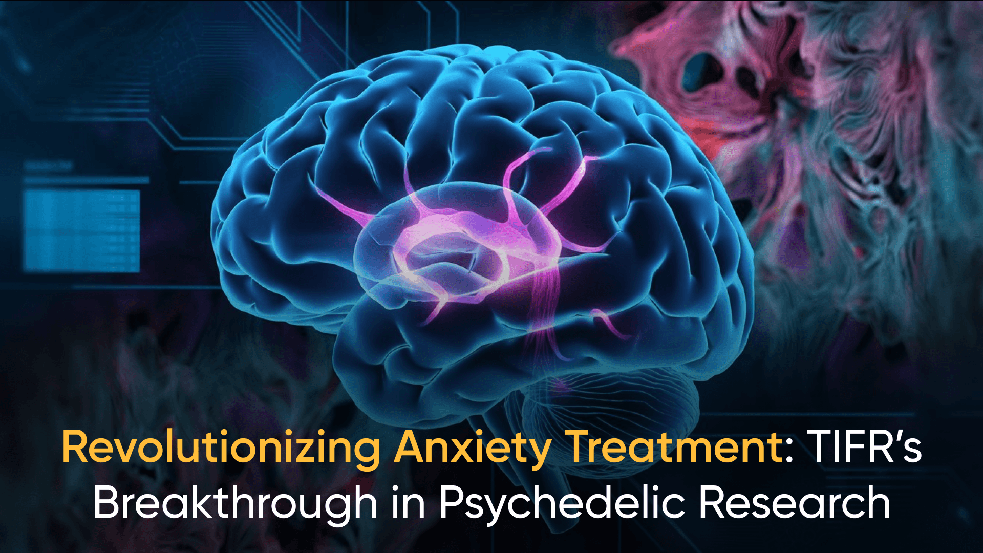 Illustration of the human brain showcasing neural pathways, highlighting TIFR’s psychedelic research for anxiety treatment.