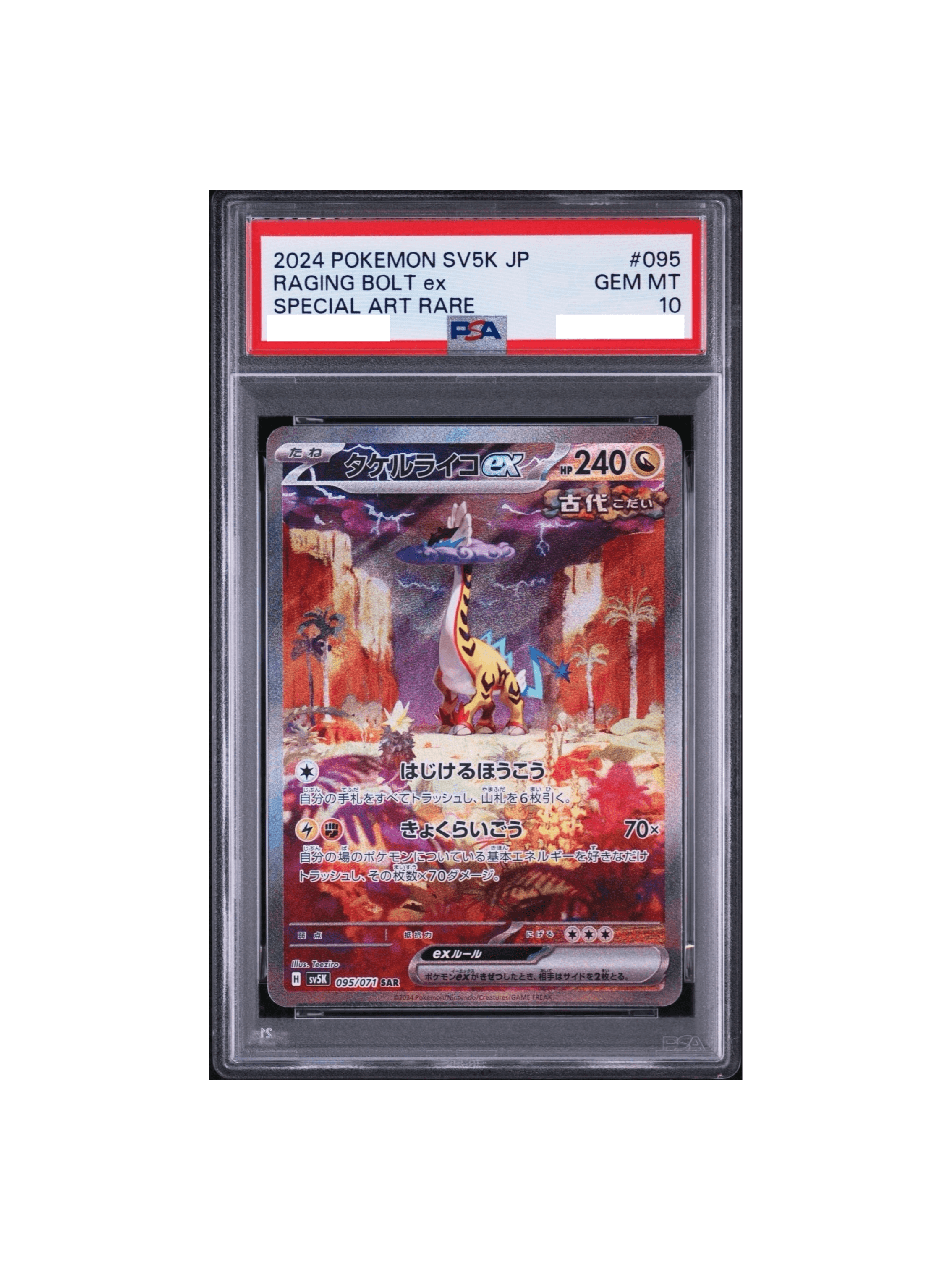 タケルライコEX sar psa10 Pokemon 【公式通販】