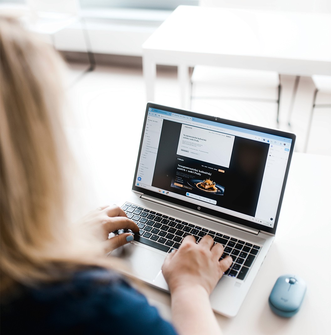 Tereza Hercíková - tvorba webu