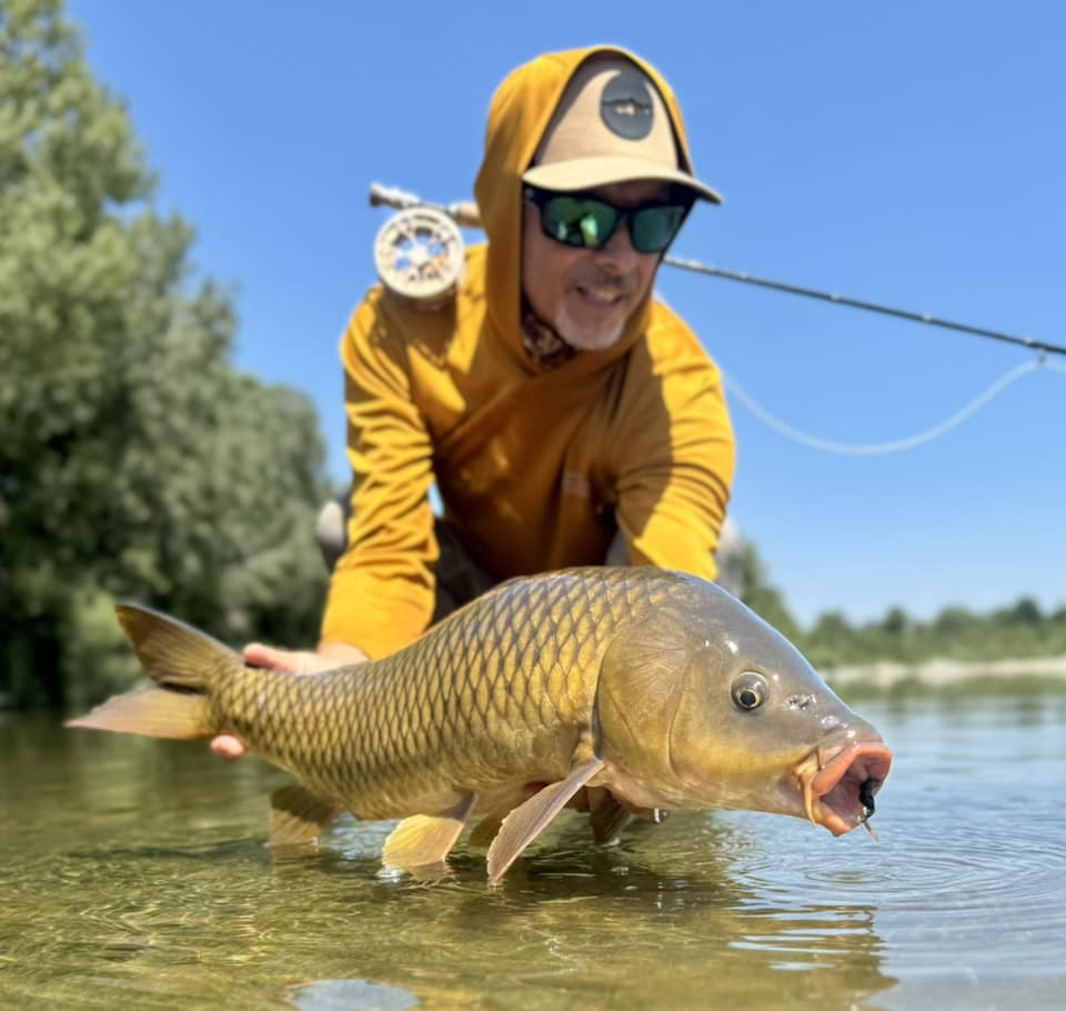 The Po River's clear waters reflecting the surrounding lush vegetation, ideal for targeting barbel and carp