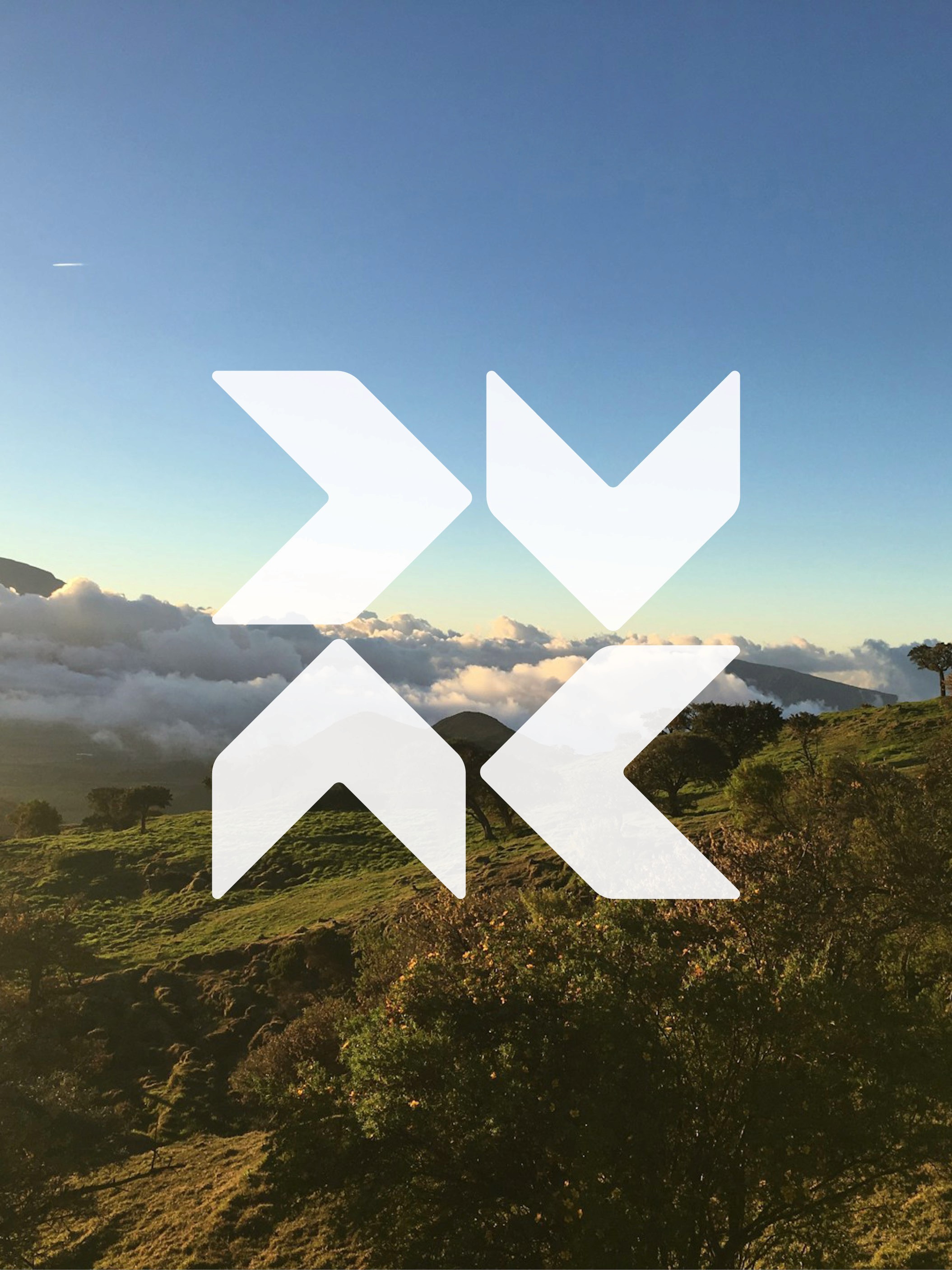 Modern home office setup with a monitor, ergonomic chair, keyboard, and indoor plants near a window with blinds.