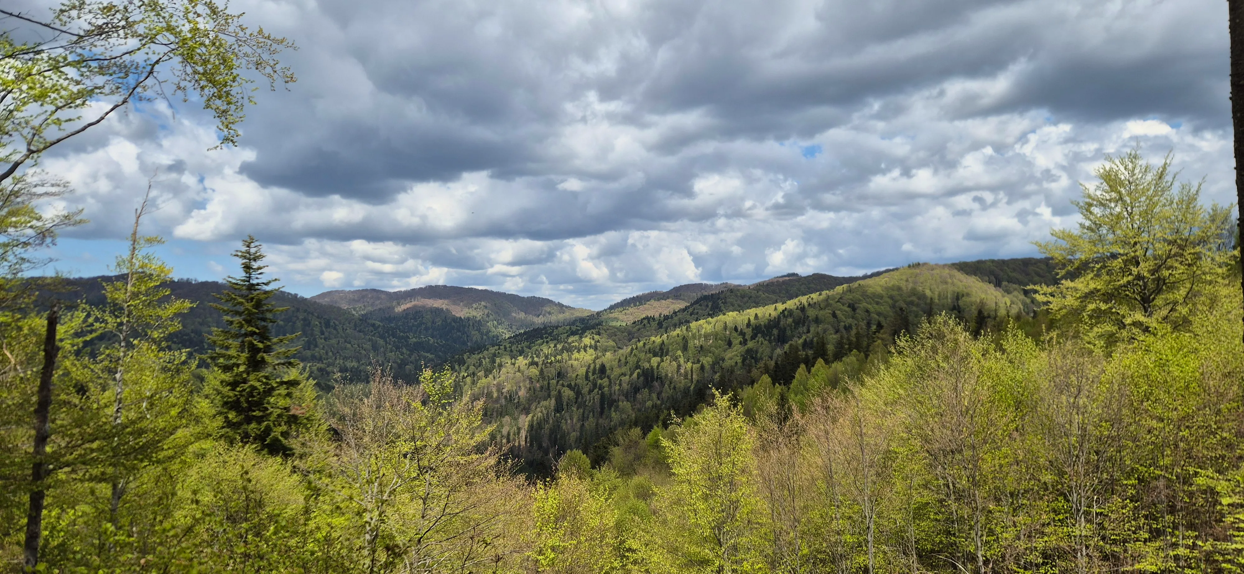 Scenic view of a mountain range covered in lush green trees, under a cloudy sky.