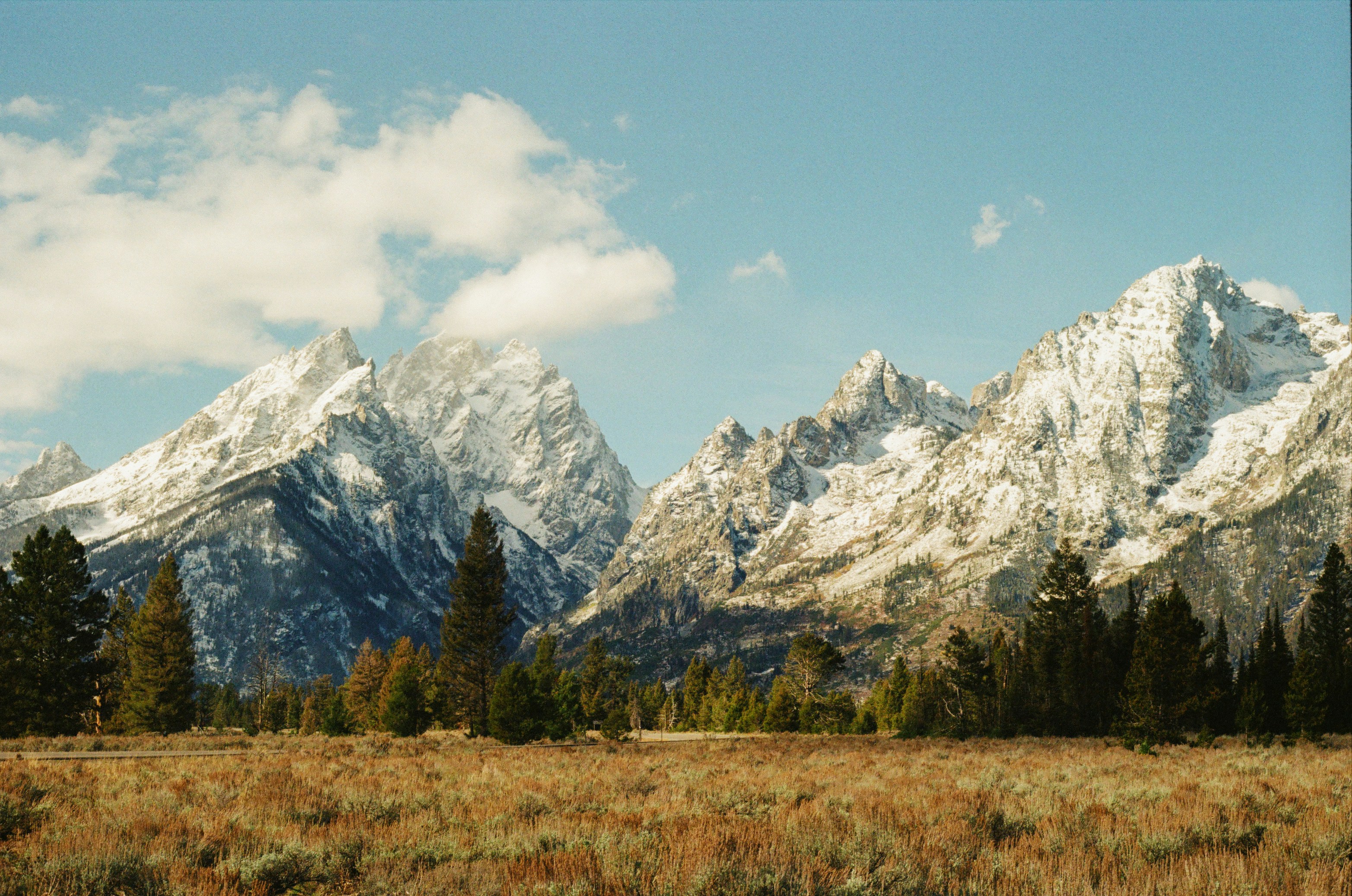Snow-capped mountains rise above a dry grassy field.