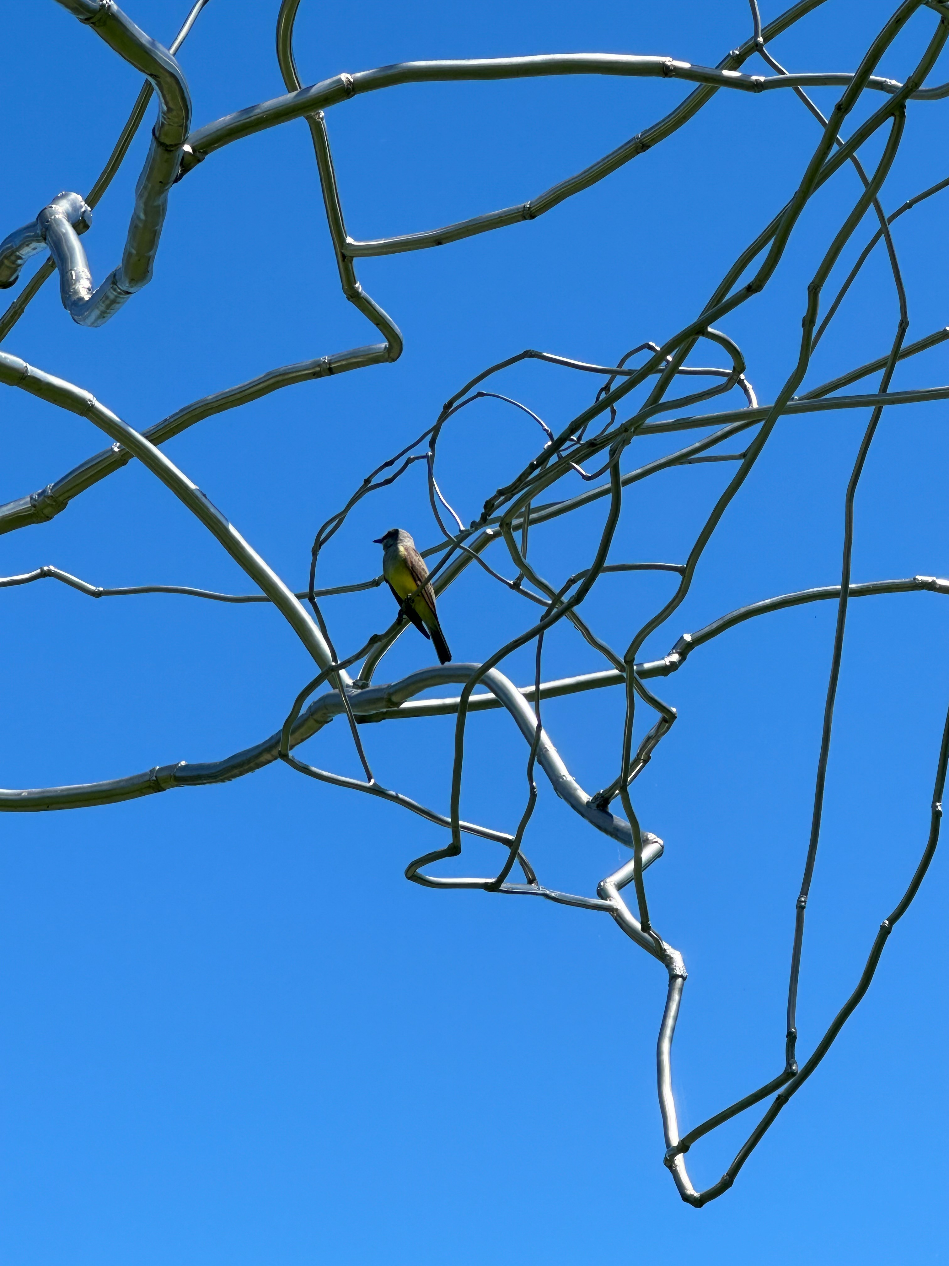 a building with persony windows