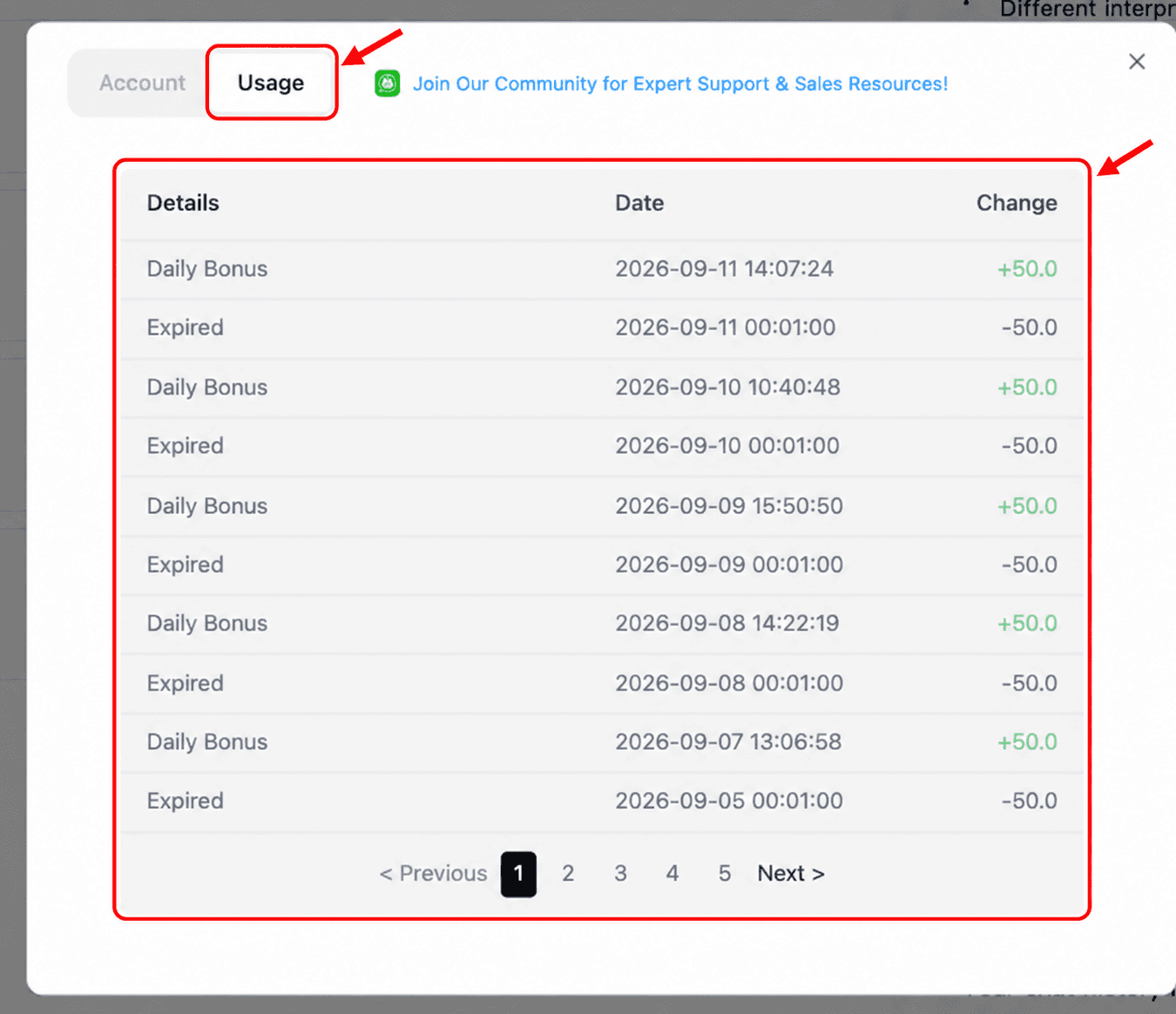 Dealism Usage tab and credit history table highlighted