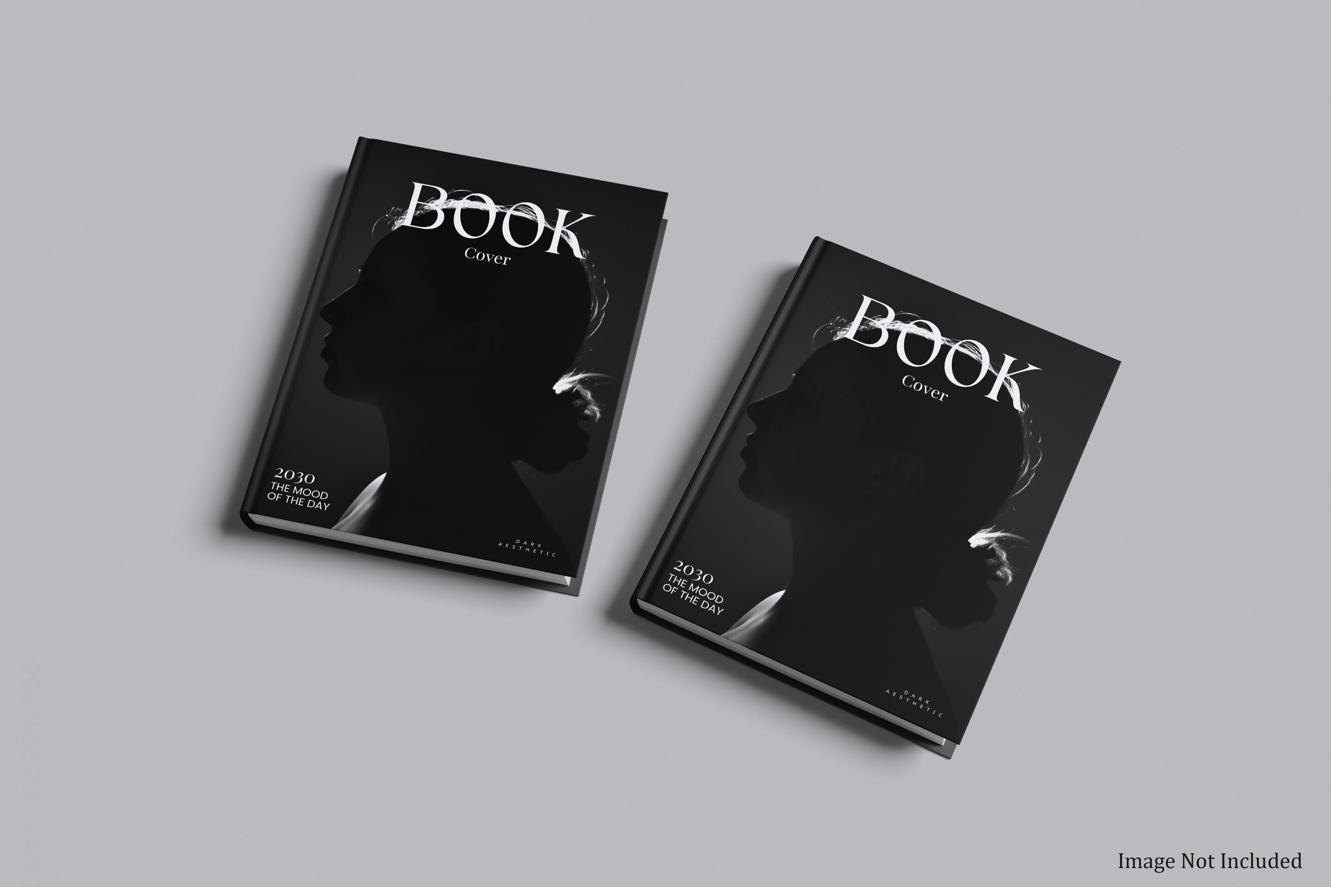 Two dark-themed book covers with a silhouetted profile design