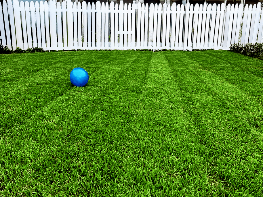 Residential outdoor space transformation by Superior Image Orlando FL