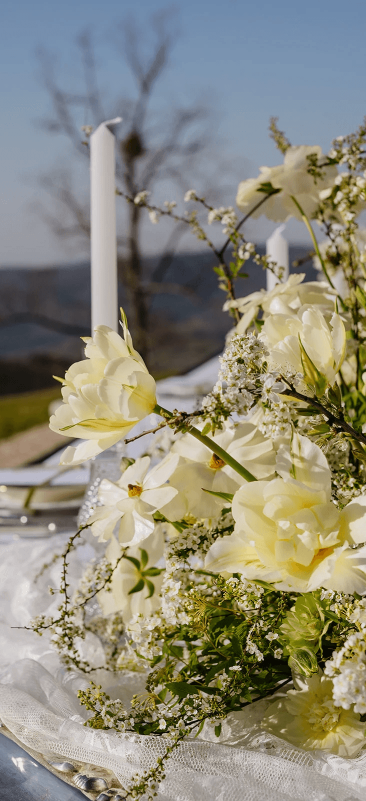 bride in wedding dress