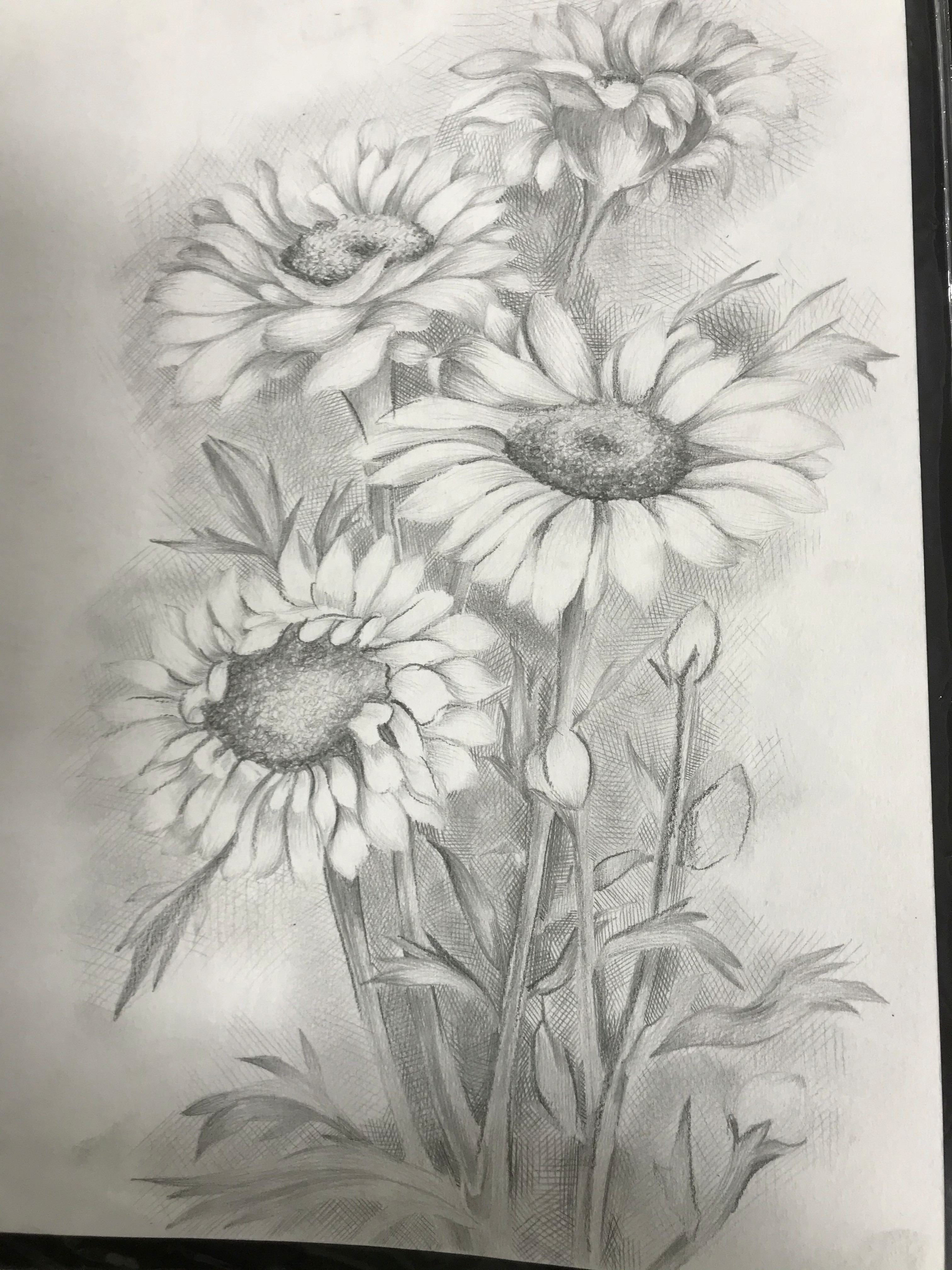 Man doing stunt at beach