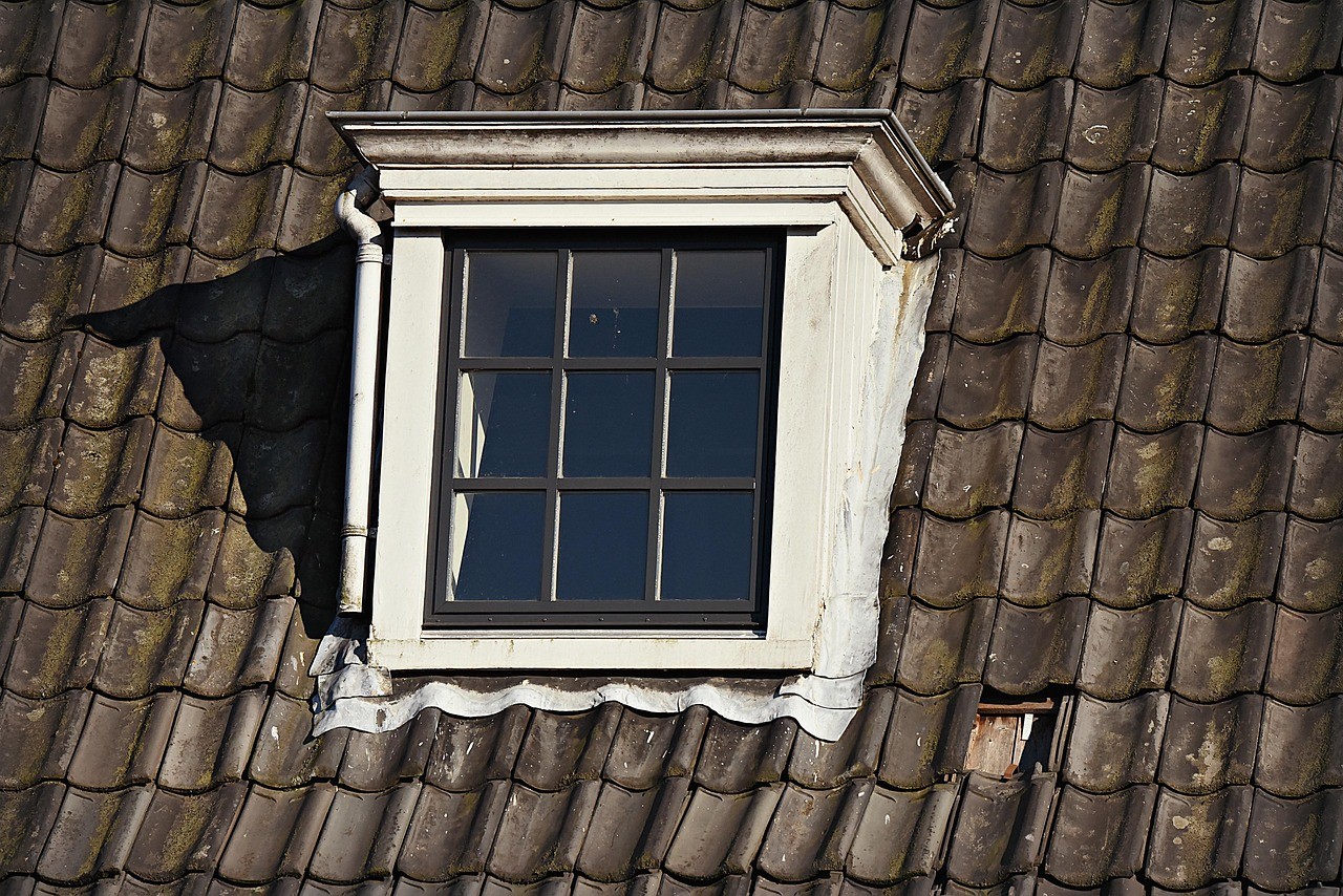 Timber window frame decay and flaking paint.