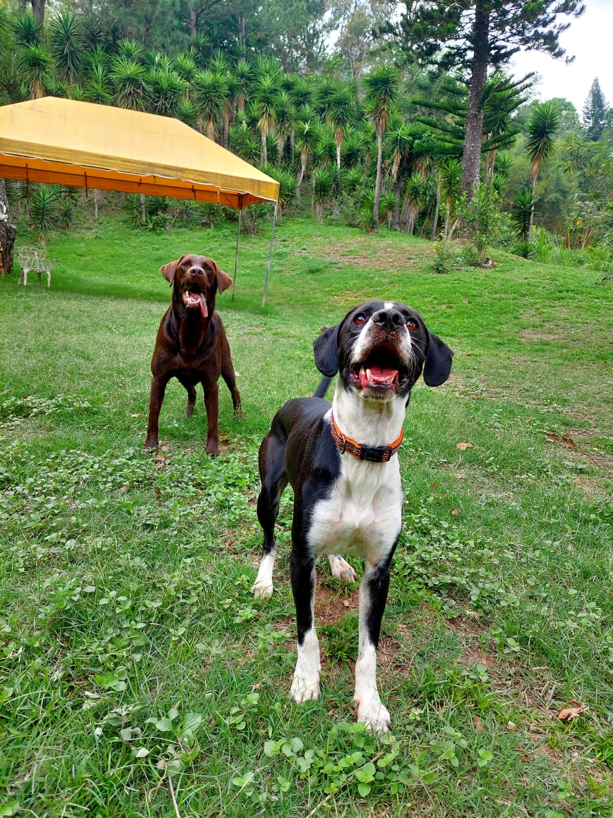 outside of an apartment