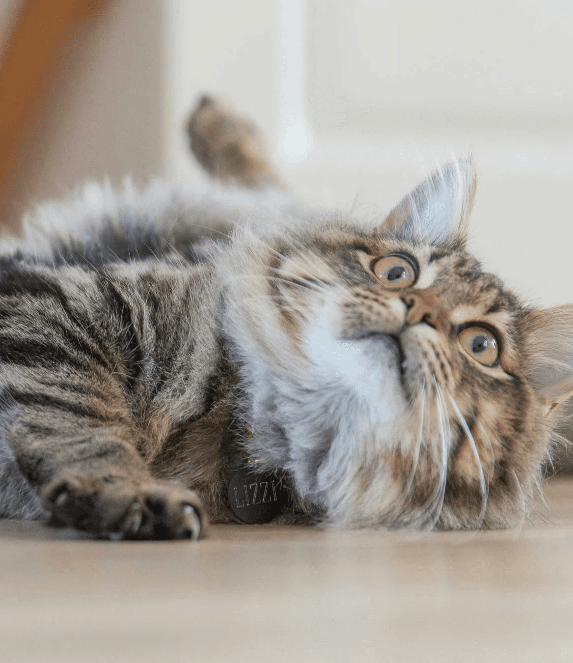 Stylish woman in a gray athletic outfit and headband standing confidently in a stadium, surrounded by empty blue seats and overhead steel beams.