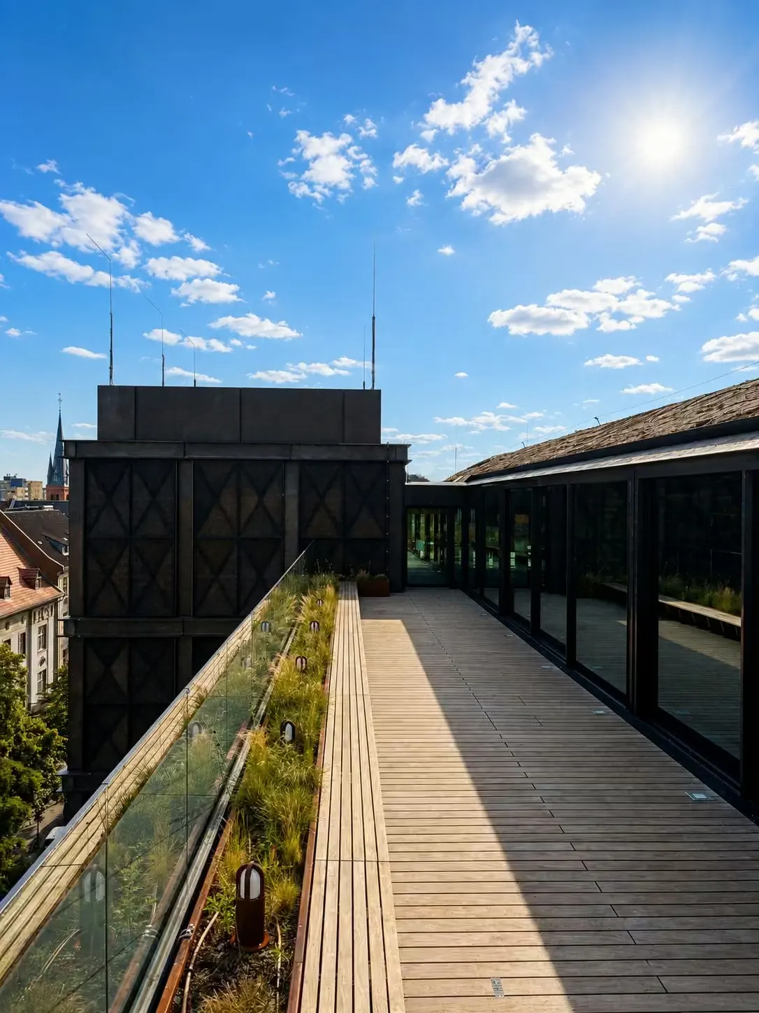 Holzsteg mit Pflanzen entlang der Glasfront auf dem Dach