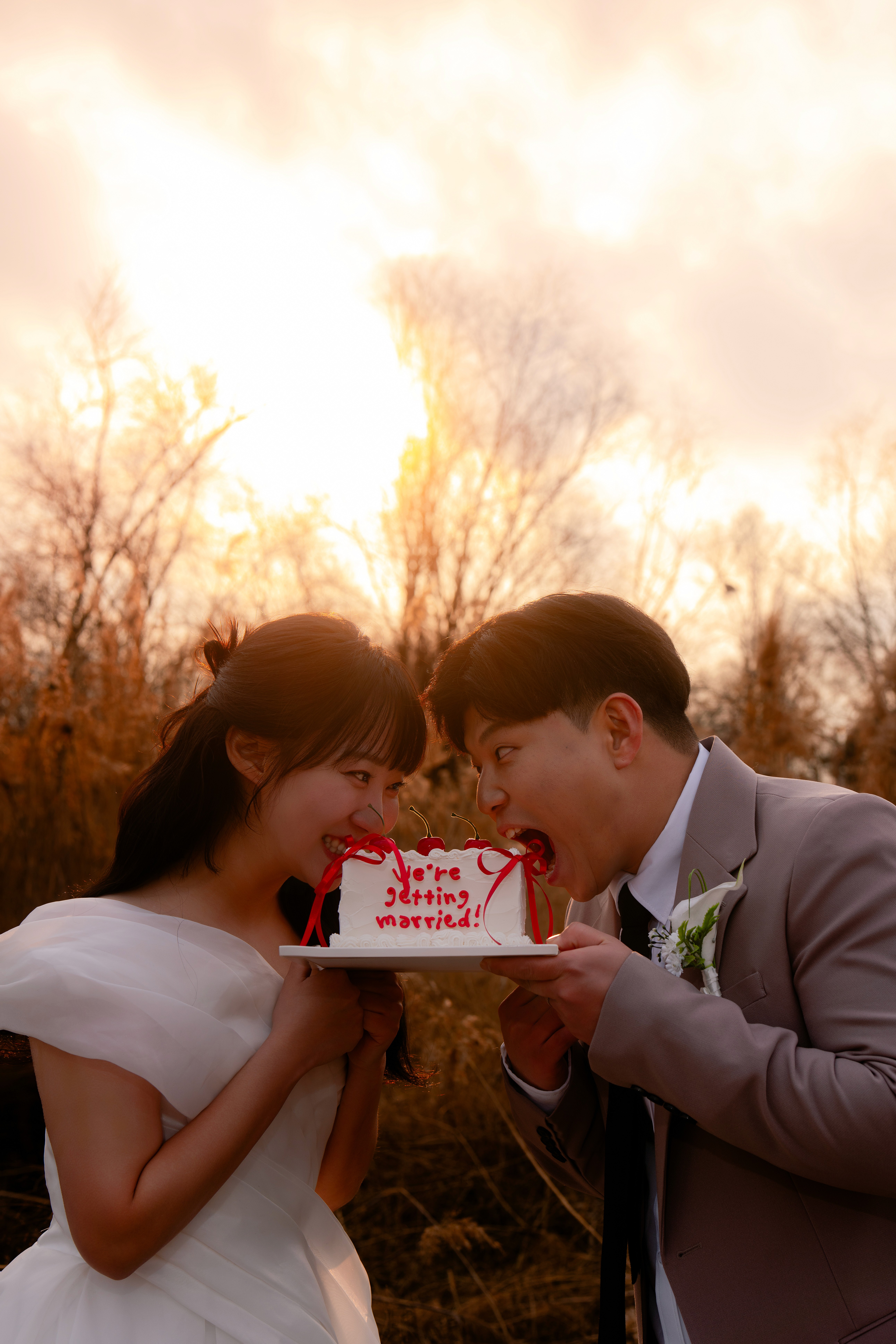 Photograph title Copy Copy Copy Copy Copy Copy Copy Copy Copy Copy