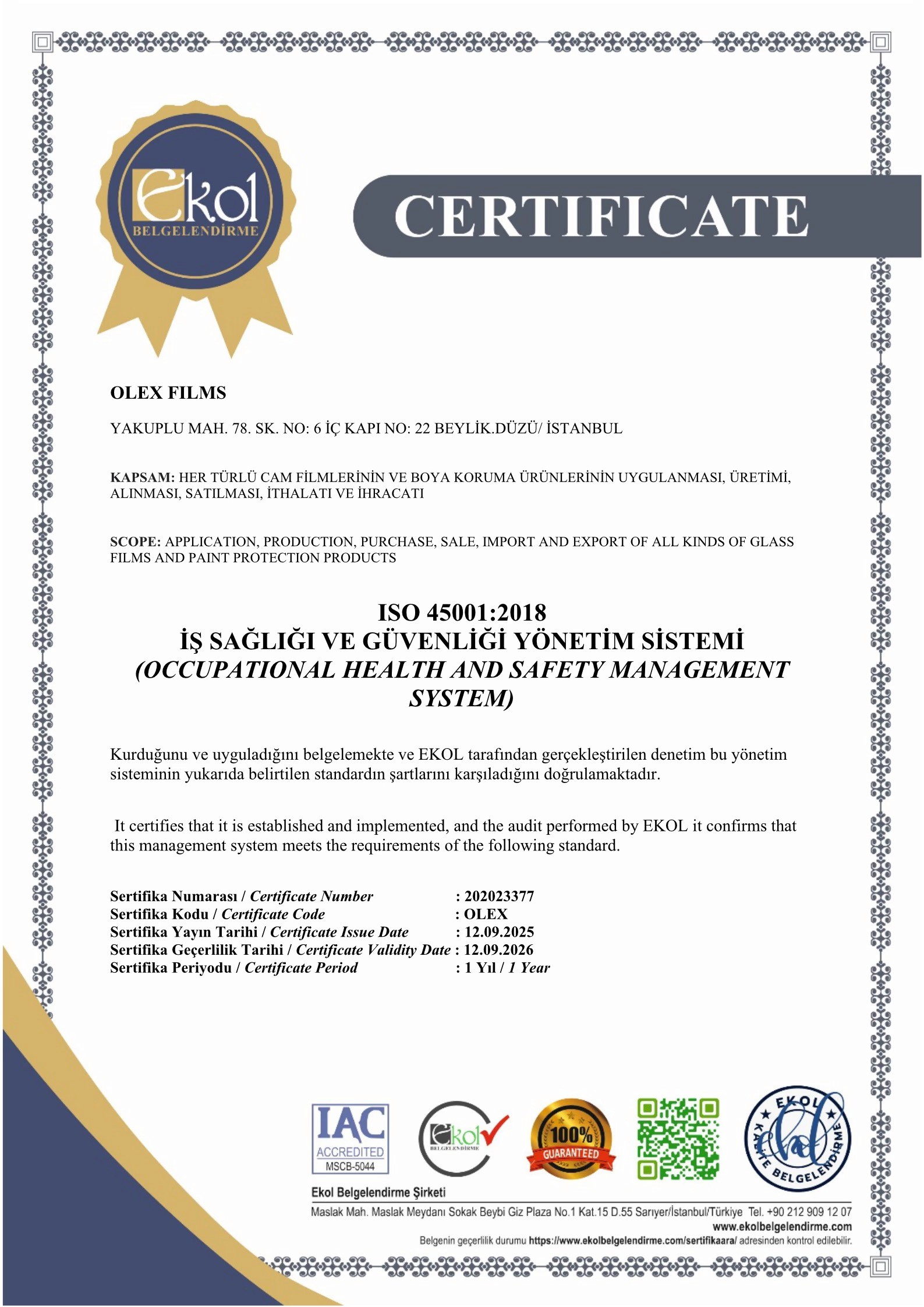 tr-en-iso-45001-2018