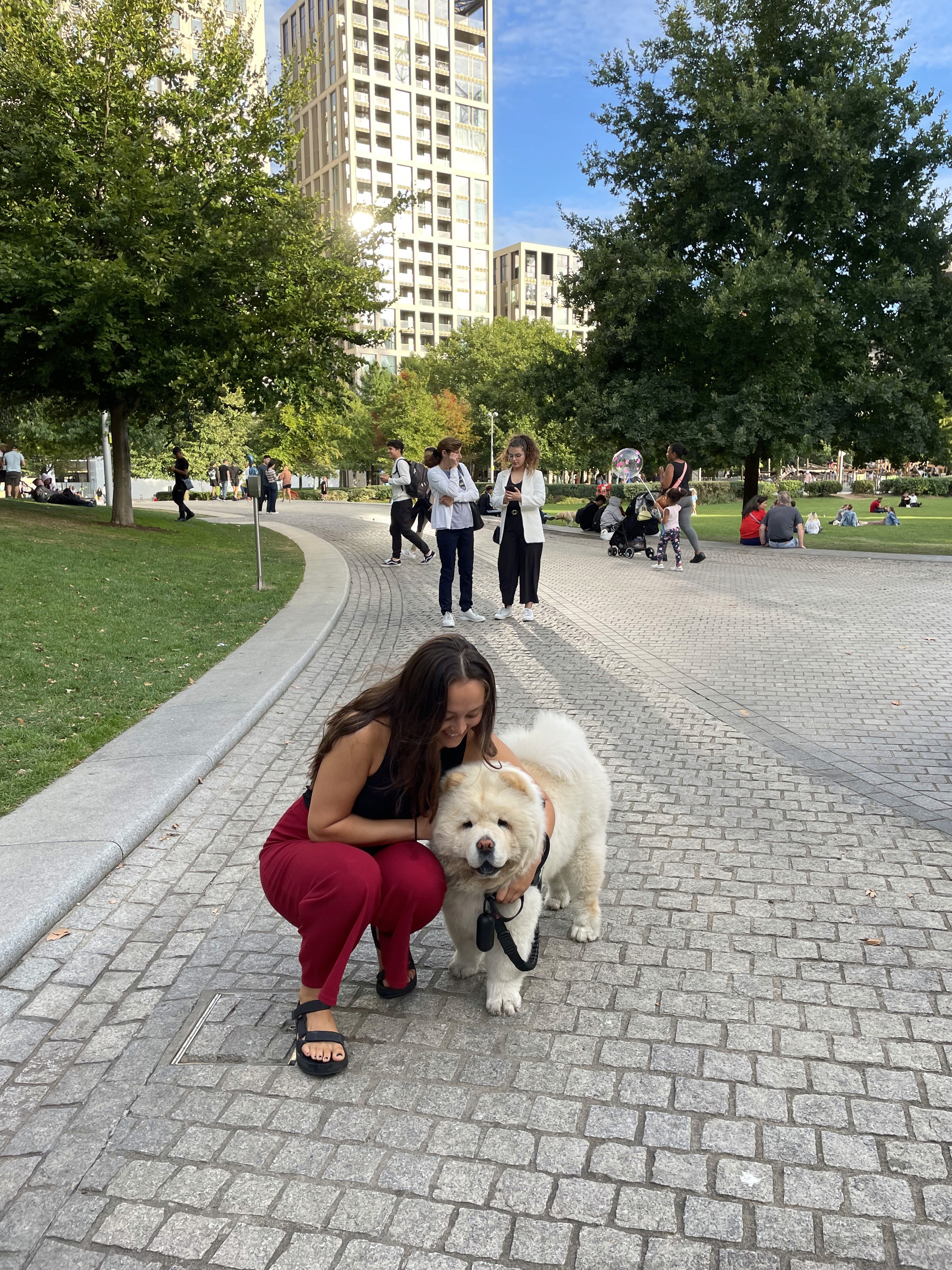 Tsui bent down hugging Oscar, a fluffy white chow chow in the streets of London