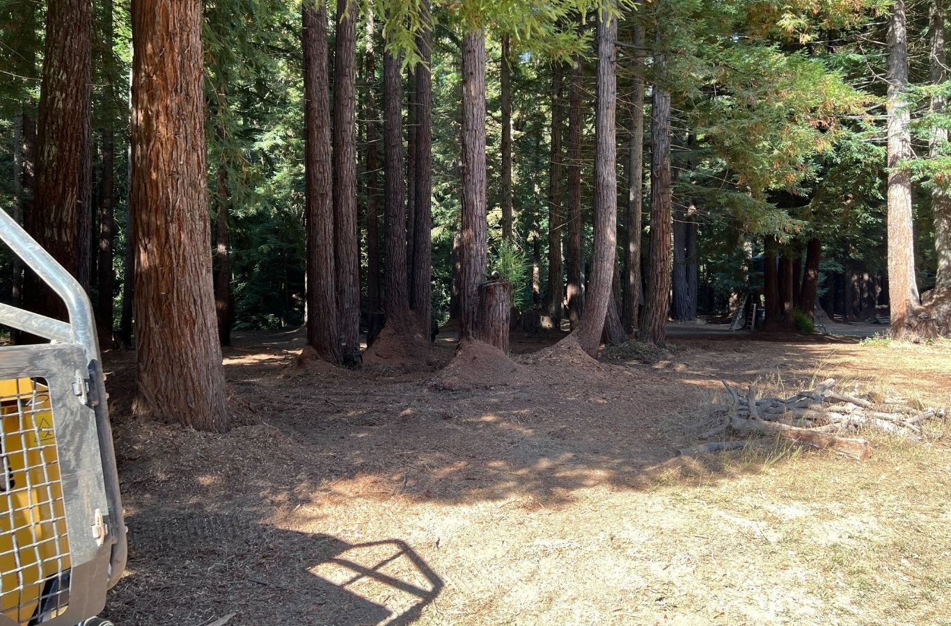 Lisac General Engineering expert performing land clearing services in Saratoga, CA with professional equipment and site prep expertise. Land Clearing Services Near Me.